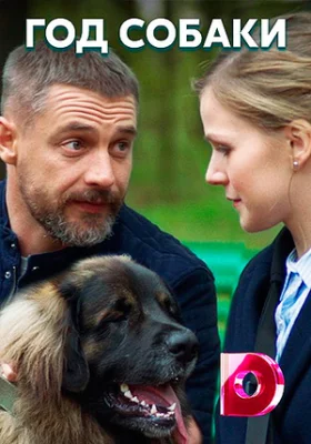 Год собаки сериал 2018
